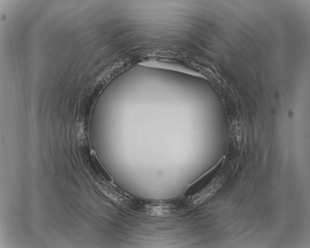 X0000062880564200602031744
