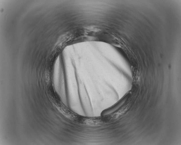 X0000062880568200602031744
