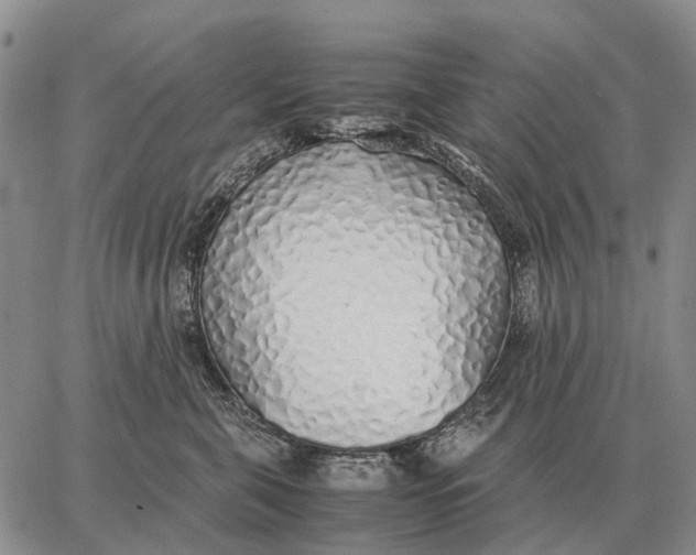 X0000062880571200602031745