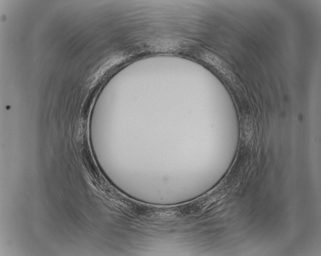 X0000062880583200602031744