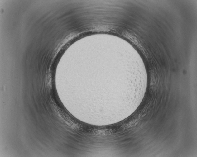 X0000062880584200602031744