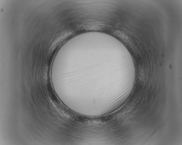 X0000062880586200602031744