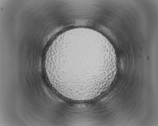 X0000062880588200602031744