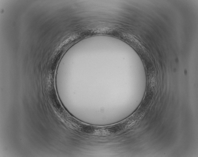 X0000062880591200602031744