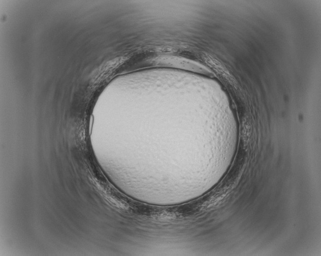 X0000062880593200602031744