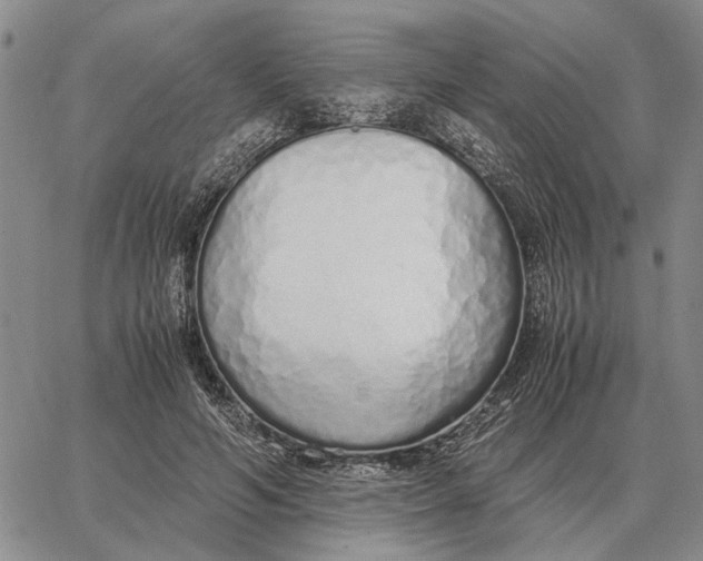 X0000062880594200602031744