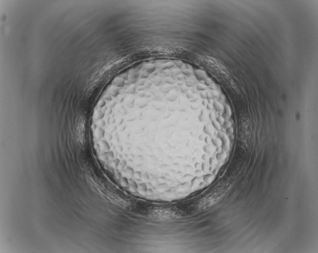X0000062880596200602031744