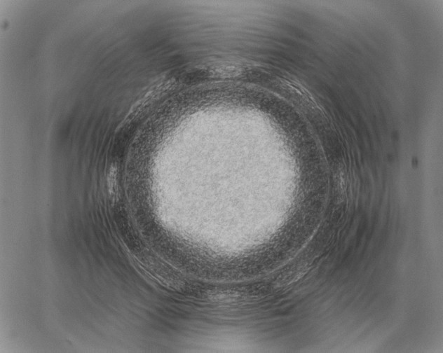 X0000062880598200602031743