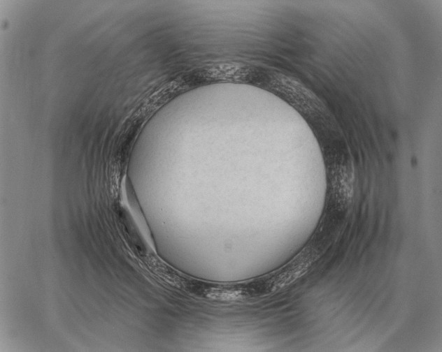 X0000062880602200602031743