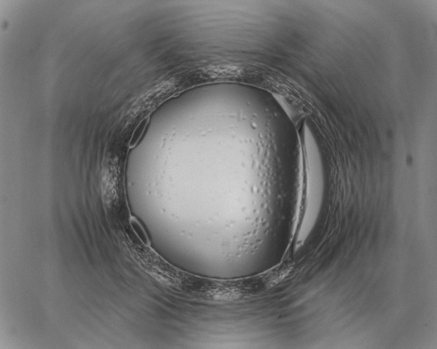 X0000062880604200602031743
