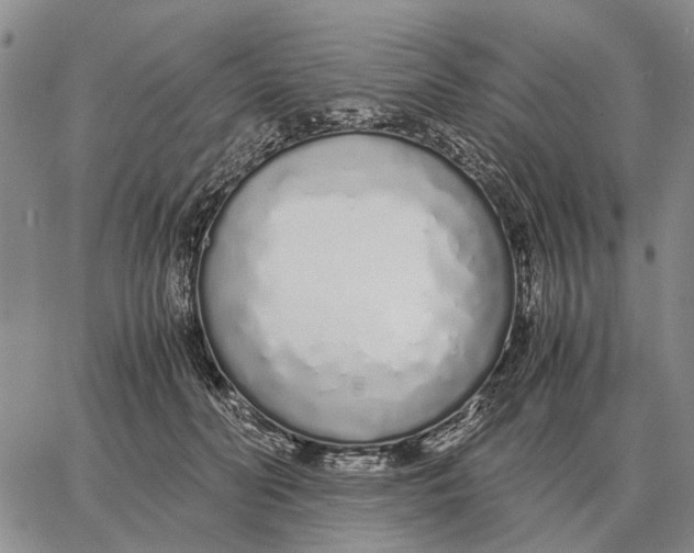 X0000062880606200602031743
