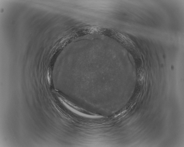 X0000062880607200602031743