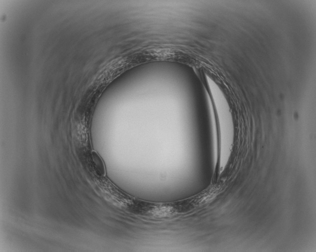 X0000062880609200602031743