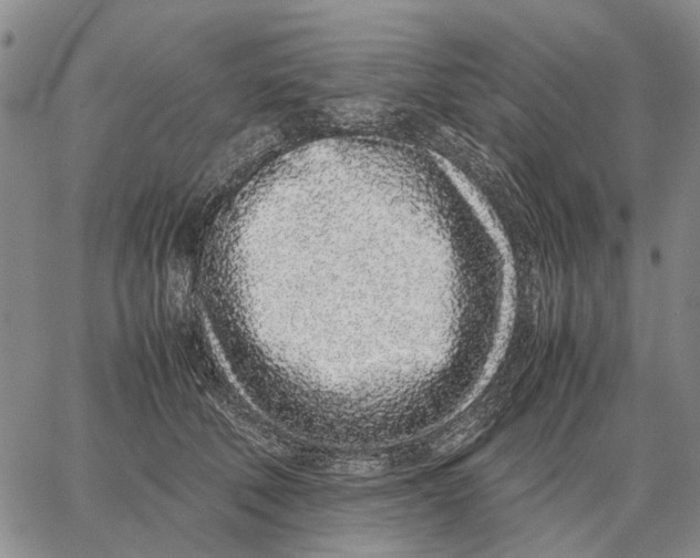 X0000062880610200602031743
