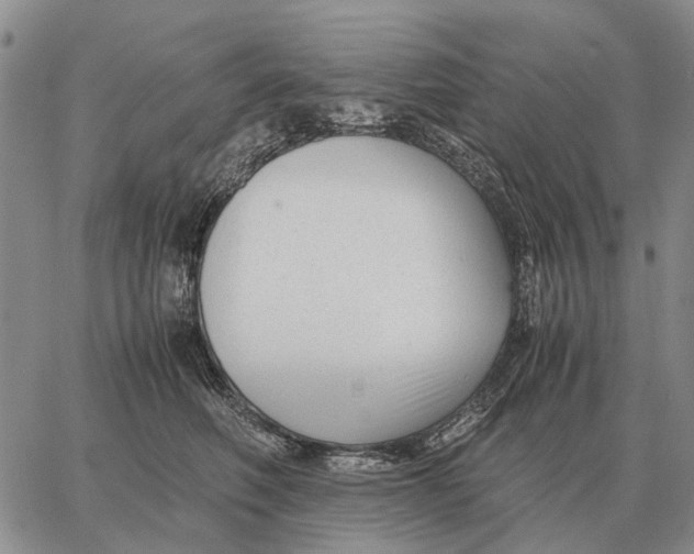 X0000062880614200602031743
