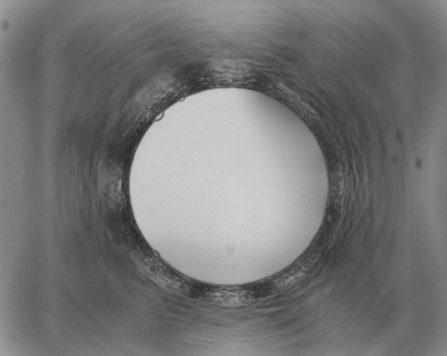 X0000062880615200602031743