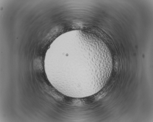 X0000062880616200602031743