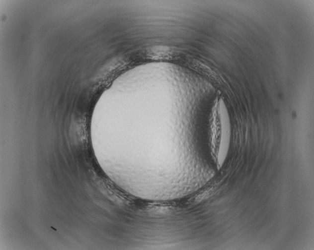 X0000062880620200602031743