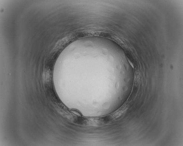 X0000062880623200602031743