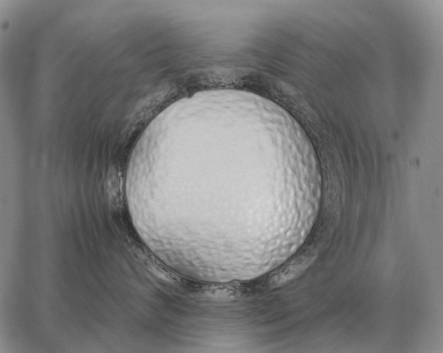 X0000062880624200602031743