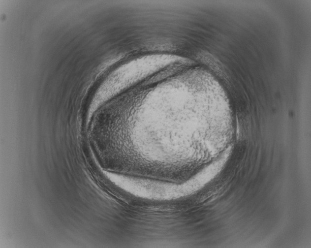 X0000062880627200602031742