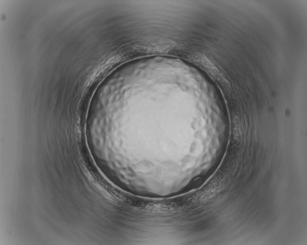 X0000062880634200602031742