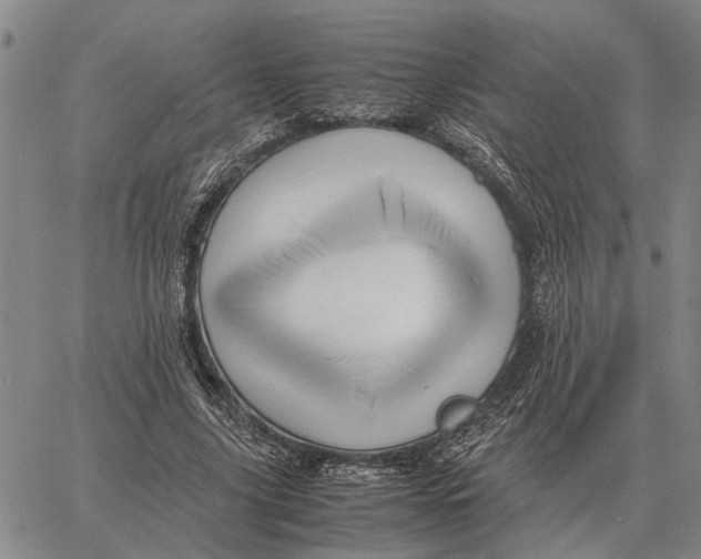 X0000062880635200602031742