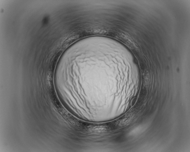 X0000062880643200602031743