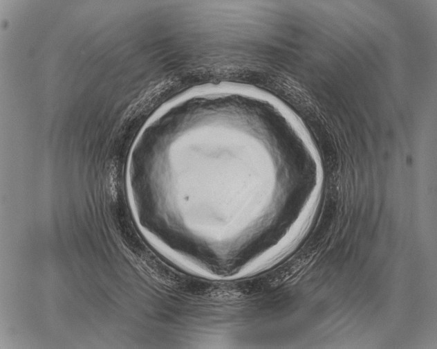 X0000062880644200602031743