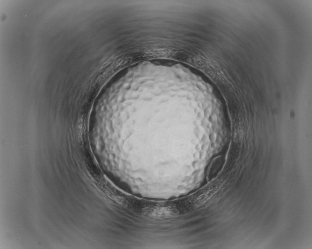 X0000062880647200602031743
