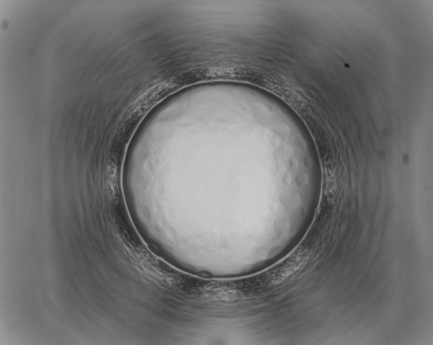 X0000062880648200602031743