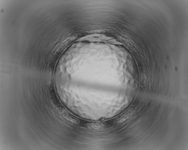 X0000062880652200602031743