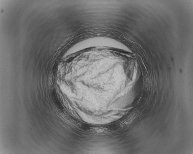 X0000062880654200602031743