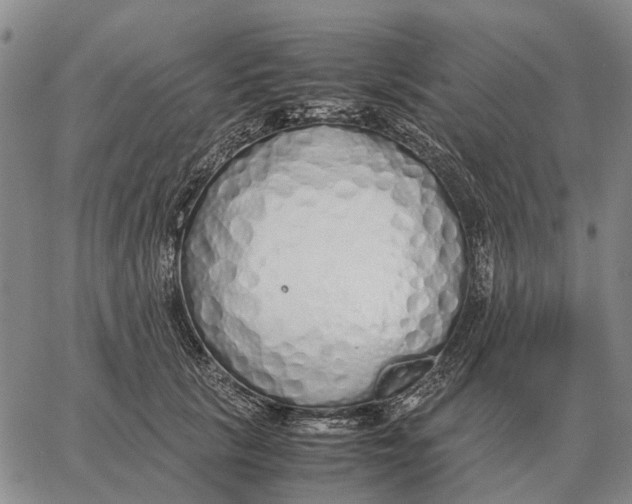 X0000062880657200602031743