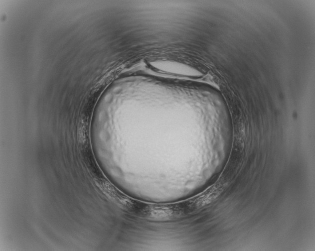 X0000062880658200602031743