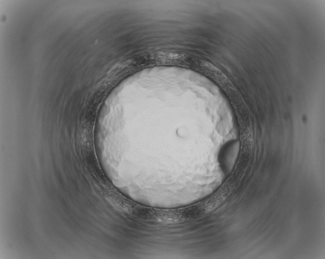 X0000062880663200602031743