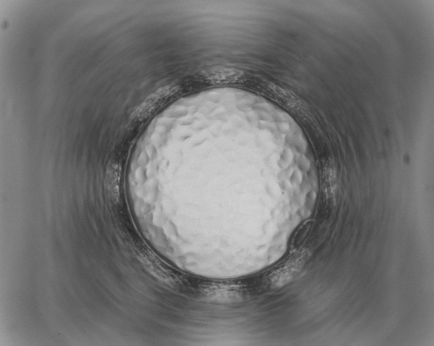 X0000062880664200602031743
