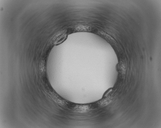 X0000062880665200602031743