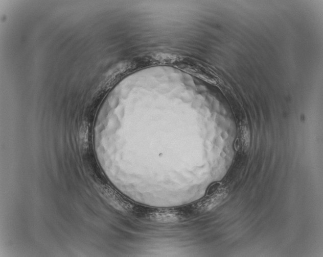 X0000062880668200602031743