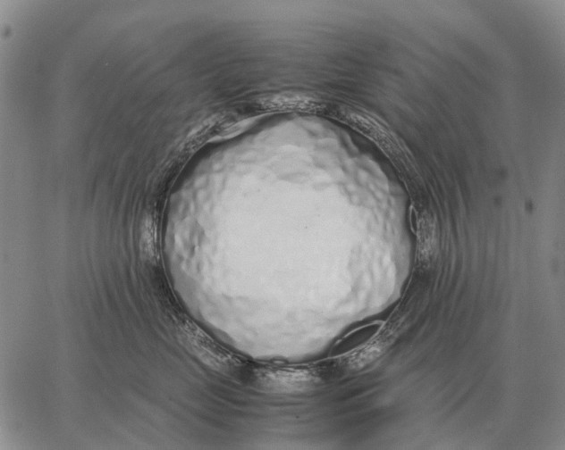 X0000062880669200602031743