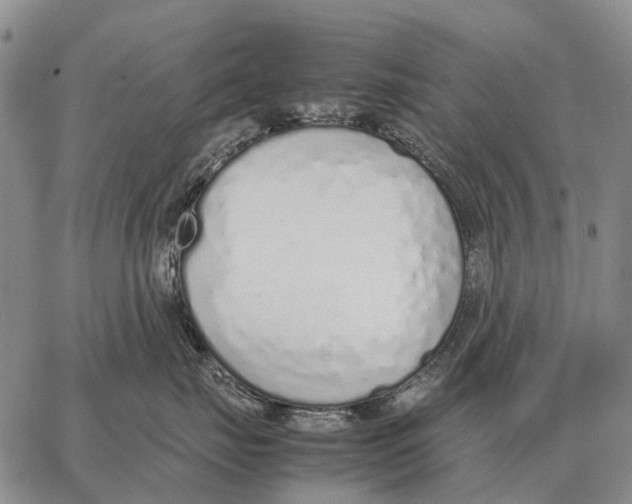 X0000062880671200602031743