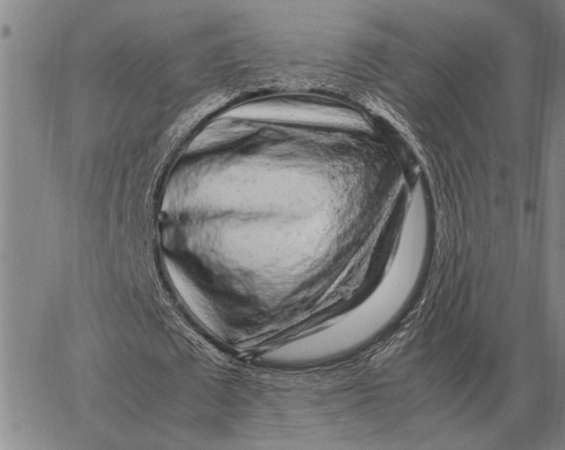 X0000062880673200602031742