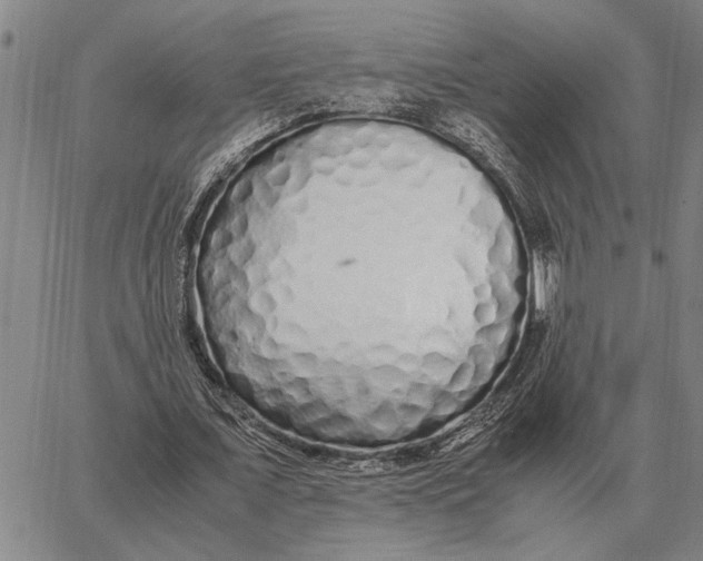 X0000062880675200602031742