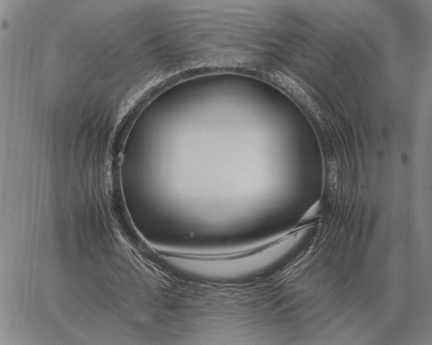 X0000062880676200602031742