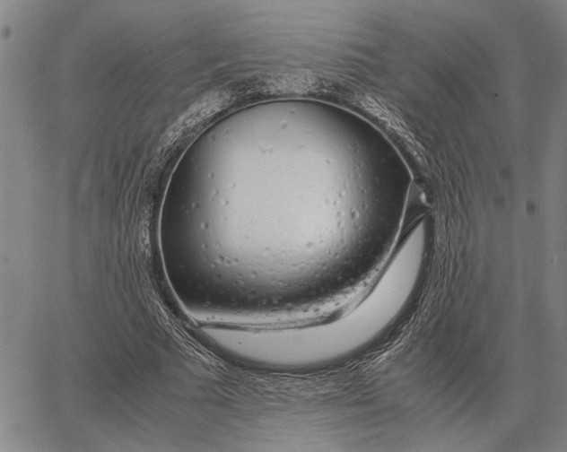 X0000062880681200602031742