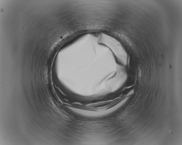 X0000062880684200602031742
