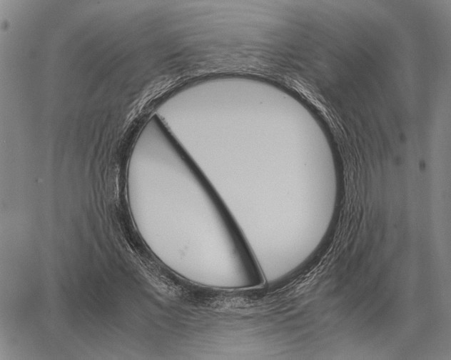X0000062880685200602031742