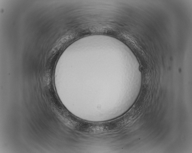 X0000062880687200602031742