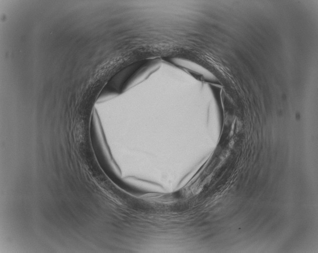 X0000062880689200602031742