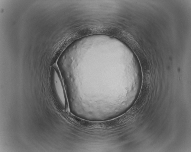 X0000062880691200602031742